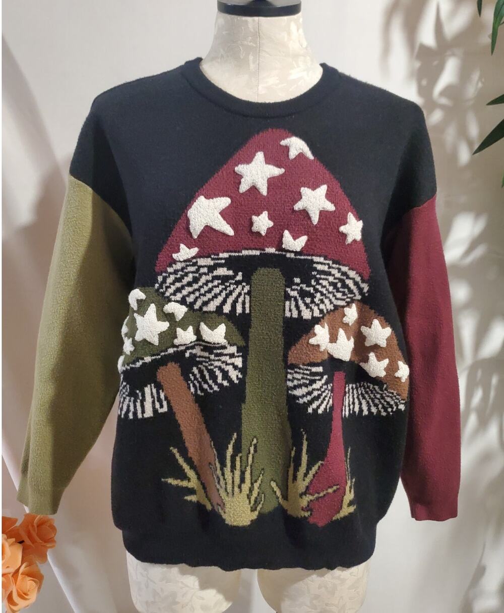 Thorn & Fable Mushroom Star Textured Colorblock Pullover Sweater Size M Whimsy